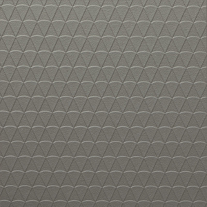 R1-004